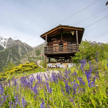 korn-stadel ARIDA PRATA natur pur Grächen Exterior foto