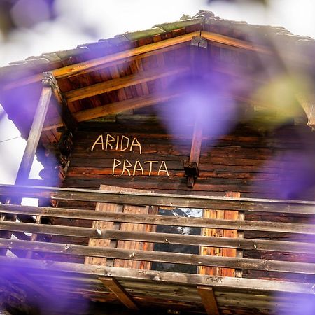 korn-stadel ARIDA PRATA natur pur Grächen Exterior foto