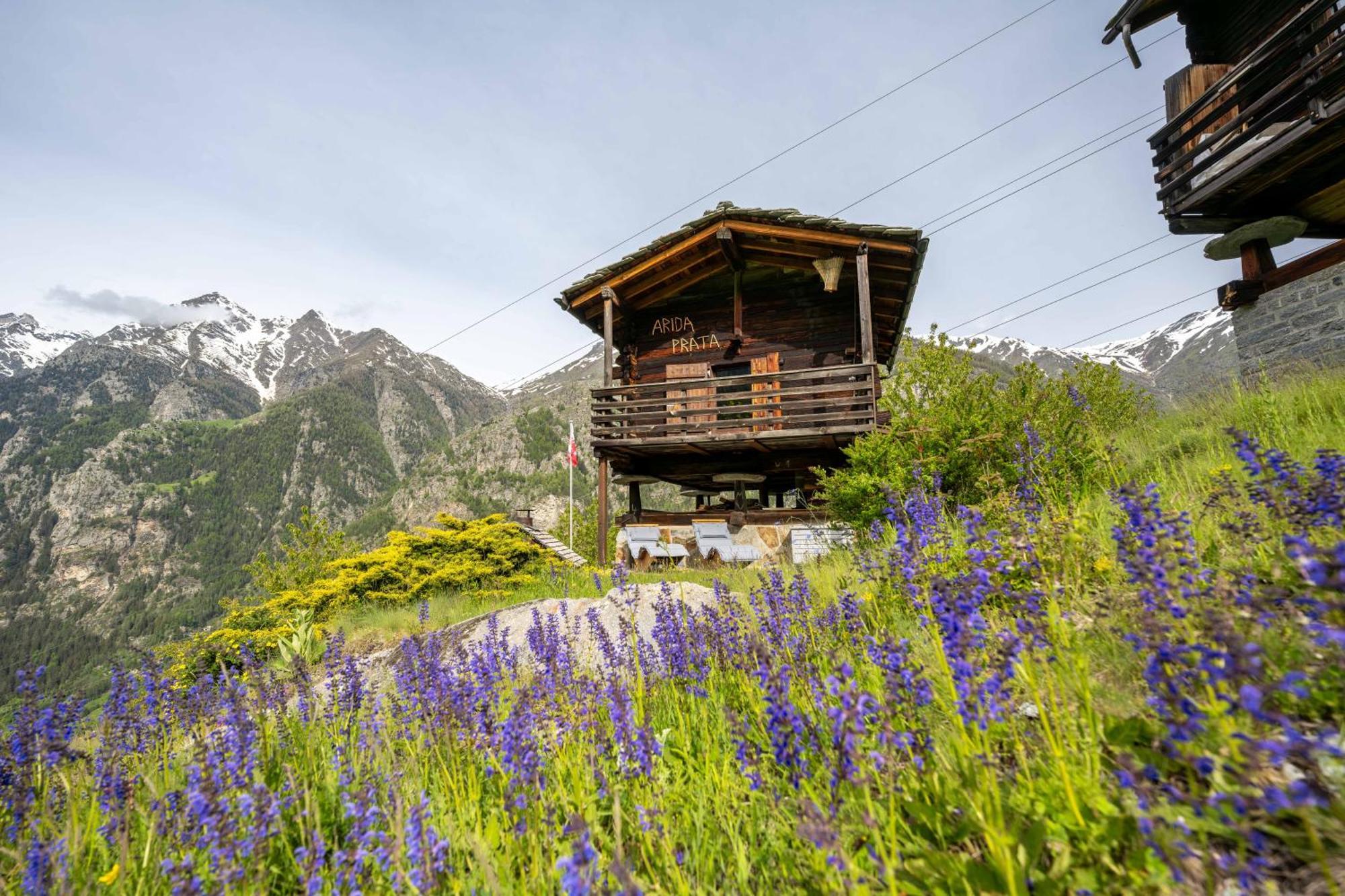 korn-stadel ARIDA PRATA natur pur Grächen Exterior foto