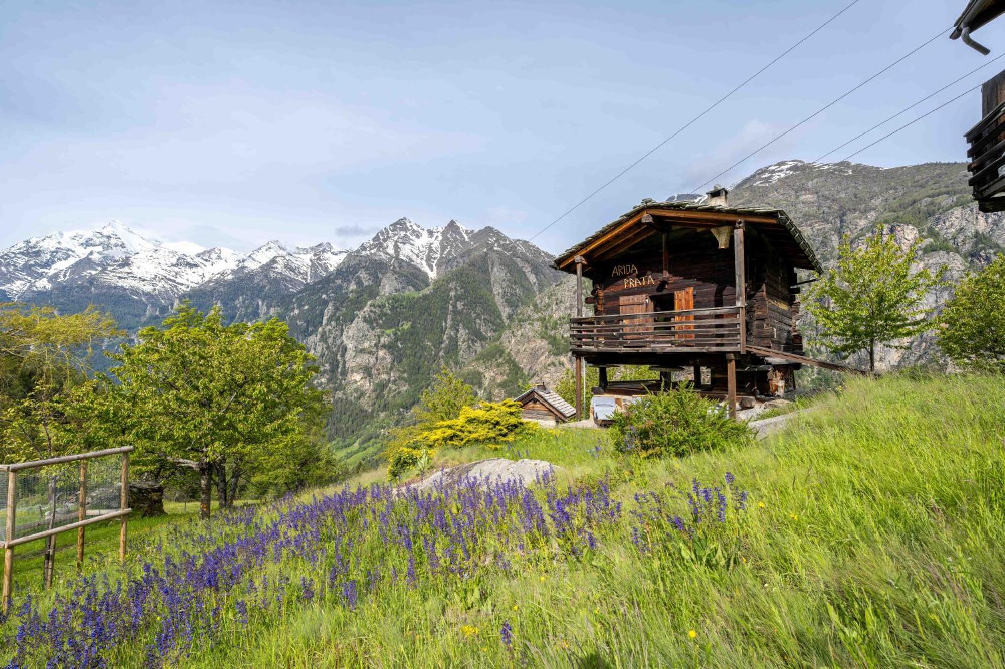 korn-stadel ARIDA PRATA natur pur Grächen Exterior foto