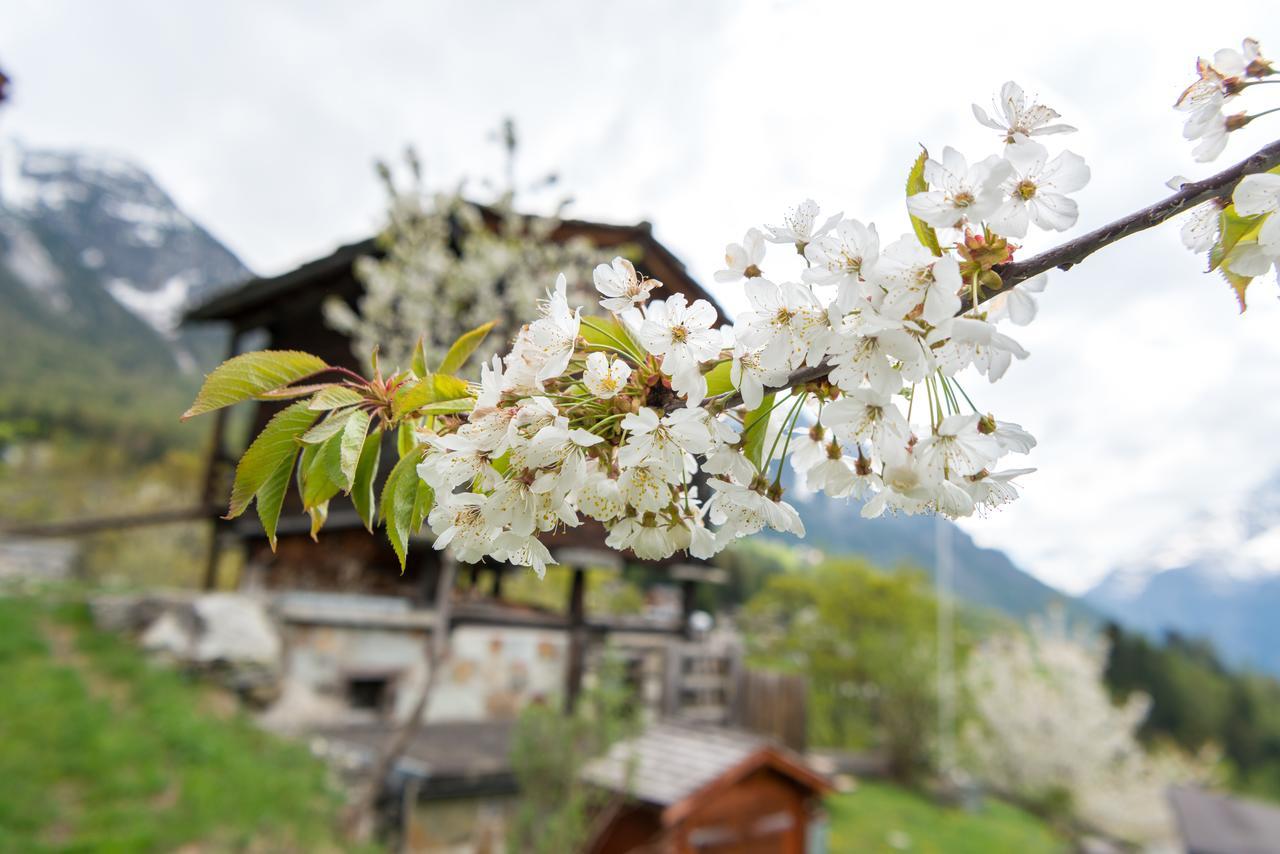 korn-stadel ARIDA PRATA natur pur Grächen Exterior foto
