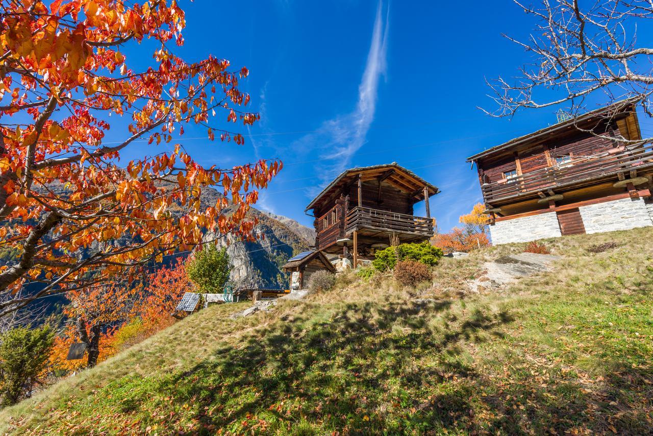 korn-stadel ARIDA PRATA natur pur Grächen Exterior foto